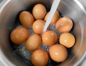 eggs in water eggs in water