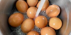 eggs in water
